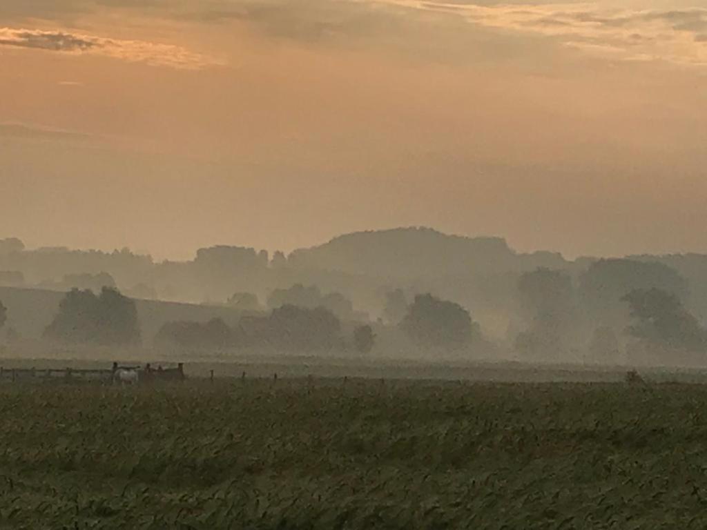 Kompas Gite Ellezelles Kültér fotó