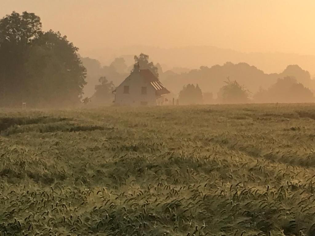 Kompas Gite Ellezelles Kültér fotó